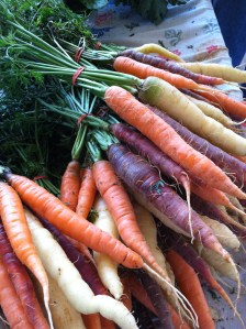Multi colored Carrots (I bought these!)