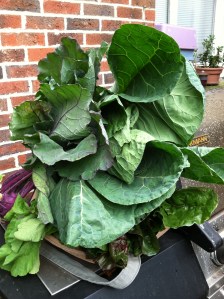 Greens from the market