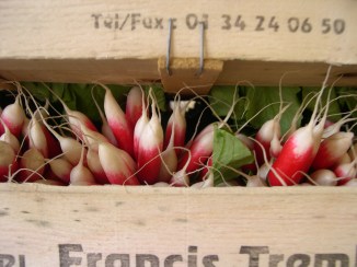 French Radishes