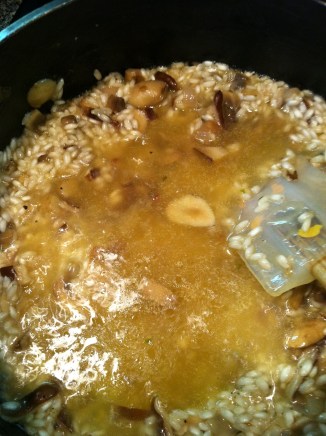 Add warm stock and stir