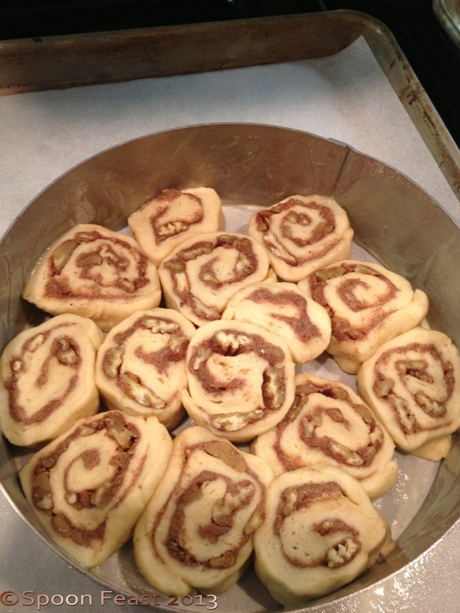 Cinnamon Rolls ready to rise
