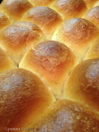 Baked Yeast Rolls