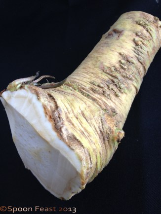 Horseradish Root