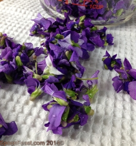 Drying wild violets to prepare for steeping