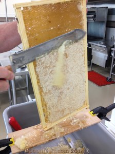 Cutting the wax caps with a warm knife