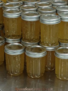 Part of the first Honey Harvest!
