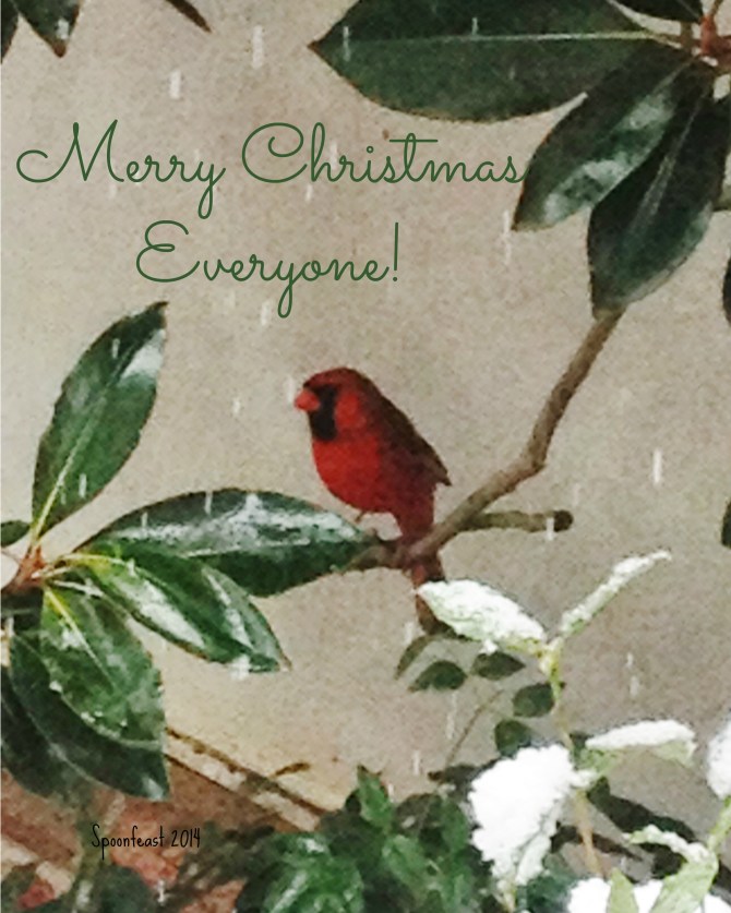 Cardinal Christmas Card